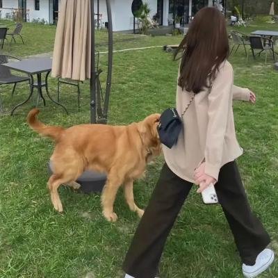 不酷老爹
